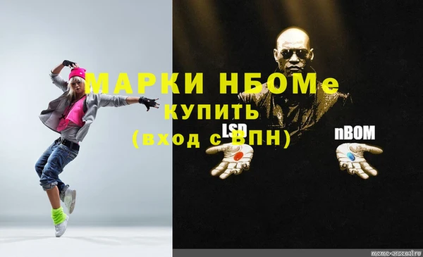 стаф Беломорск
