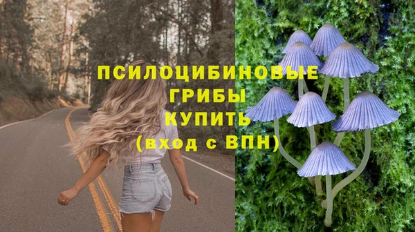 стаф Беломорск