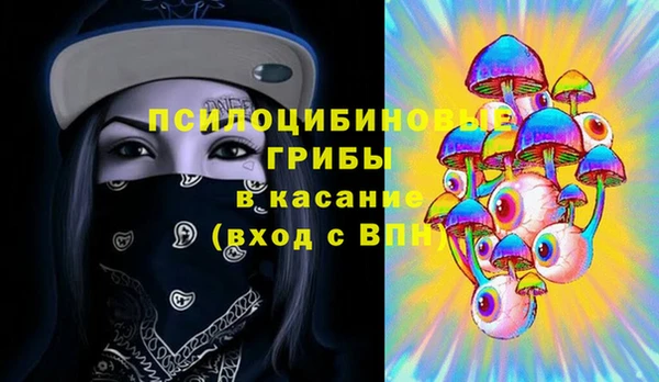стаф Беломорск