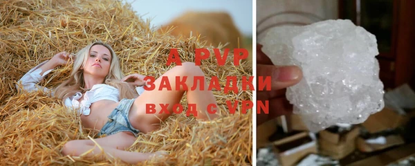 твердый Белокуриха