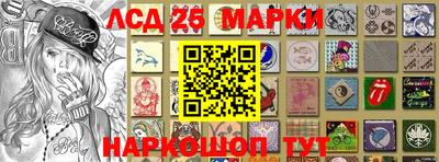 крисы Бийск