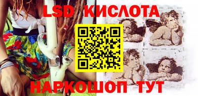 крисы Бийск