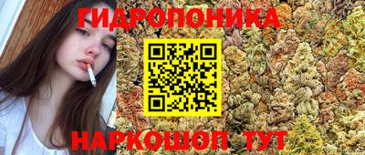 a pvp Берёзовский