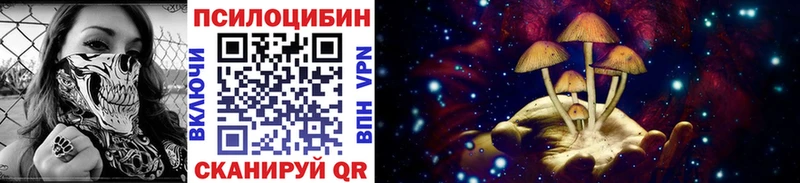 купить  сайты  блэк спрут ONION  Псилоцибиновые грибы мицелий  Гусев 