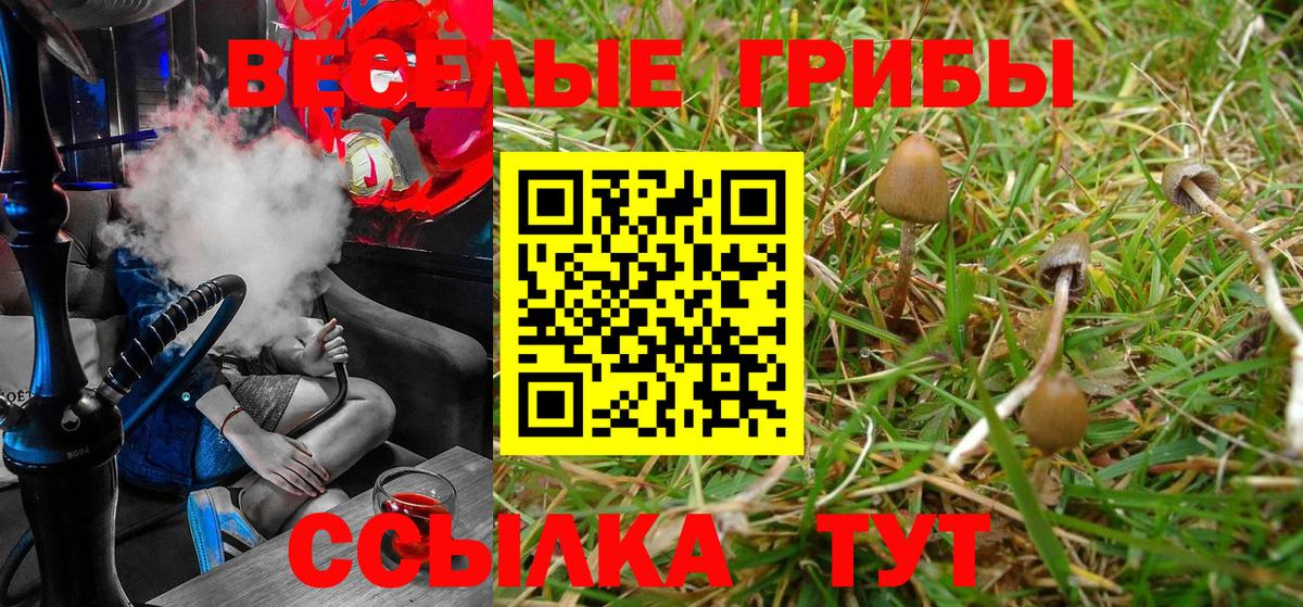 Галлюциногенные грибы GOLDEN TEACHER Гусев