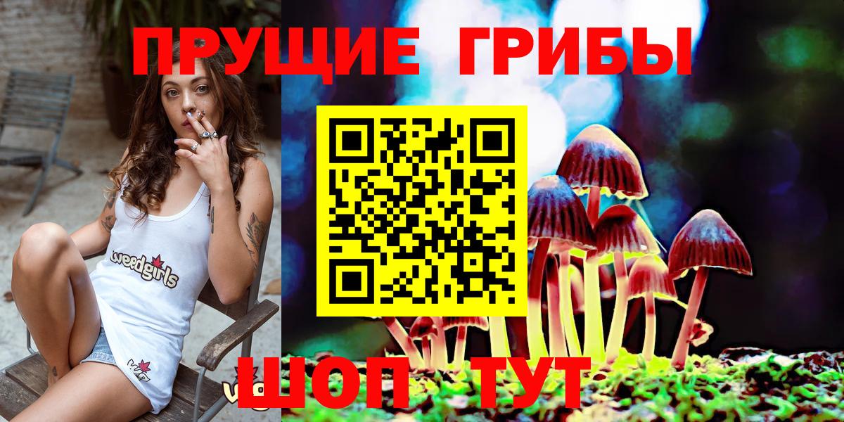 Псилоцибиновые грибы GOLDEN TEACHER  Вход с VPN  Гусев 